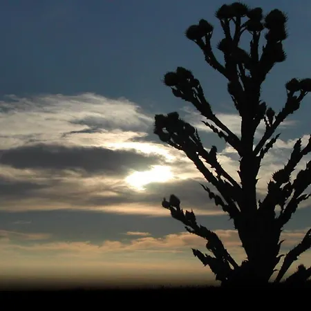 Rural Rincon De Dona Ines