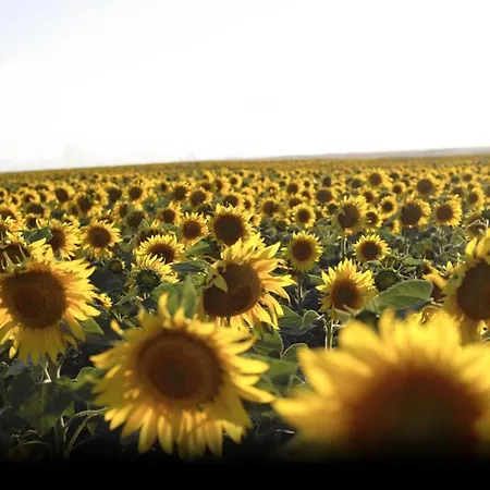 Rural Rincon De Dona Ines Hotel Villanueva de la Condesa