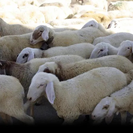 Hotel Rural Rincon De Dona Ines Villanueva de la Condesa