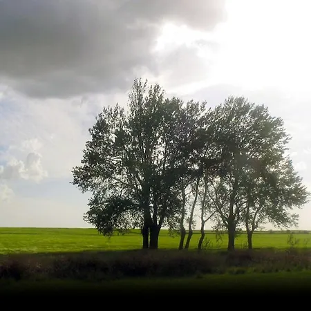 Rural Rincon De Dona Ines 4*