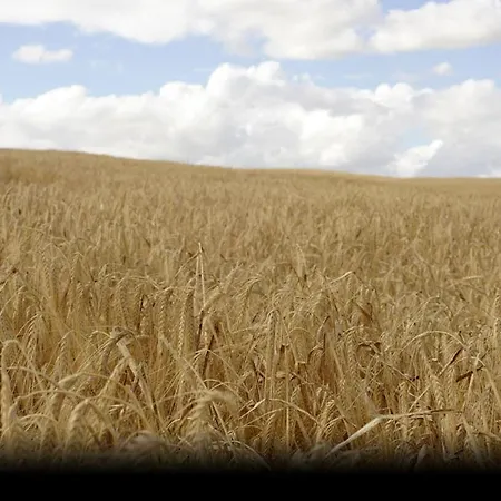 Hotel Rural Rincon De Dona Ines