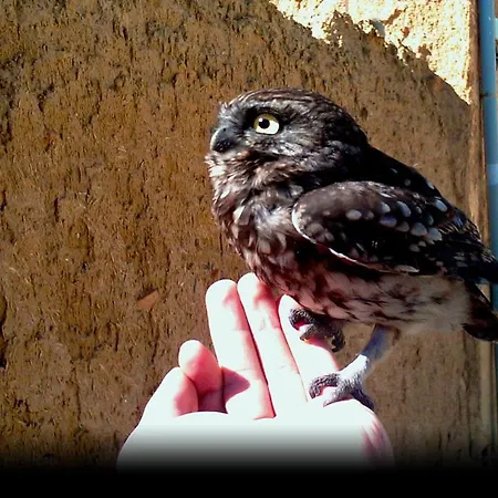 Rural Rincon De Dona Ines 4*