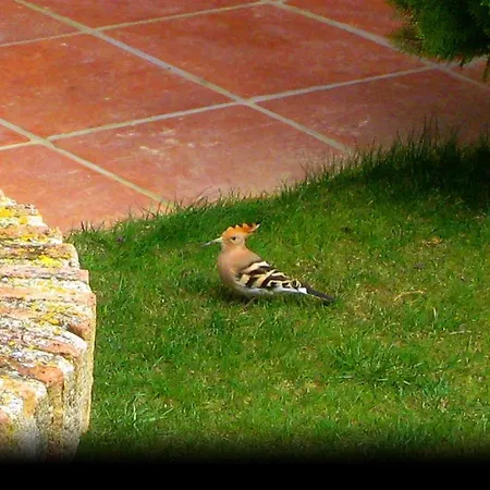 Hotel Rural Rincon De Dona Ines