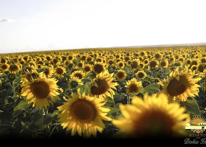 Rural Rincon De Dona Ines Hotel Villanueva de la Condesa
