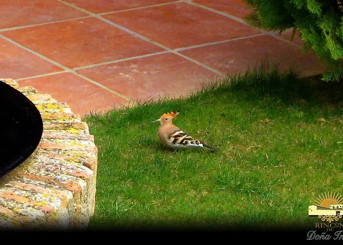 Hotel Rural Rincon De Dona Ines